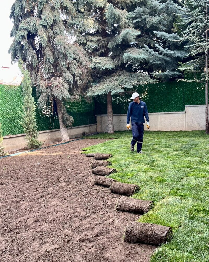 Eksen Peyzaj uygulama örneği 10